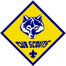 Cub Scouts